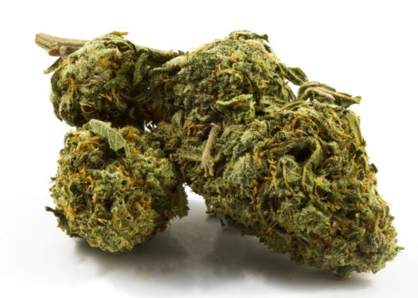 buy white widow online